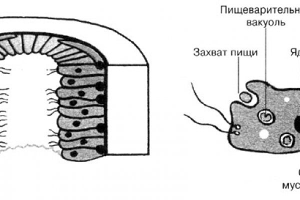 Настоящий сайт мега