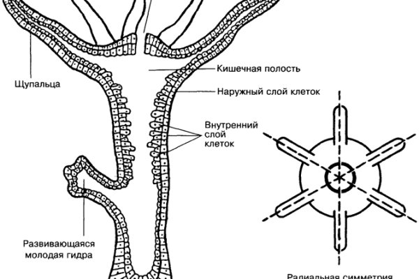 Мега пишет вы забанены что делать