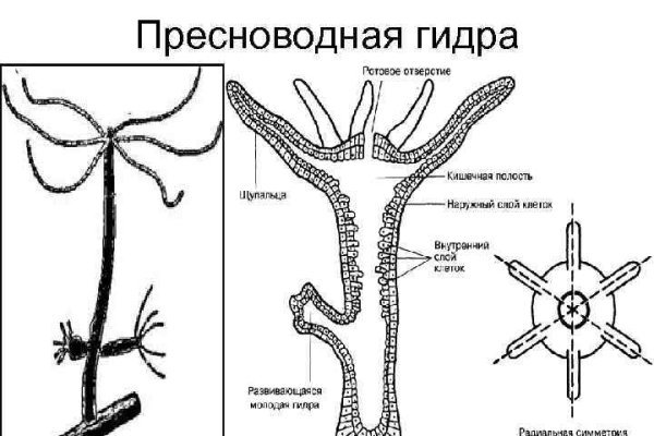 Как зайти на сайт мега с телефона