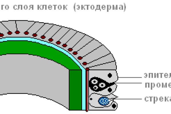 Как зайти на мегу