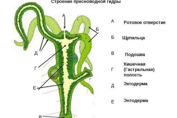 Как перевести биткоины на блэкспрут