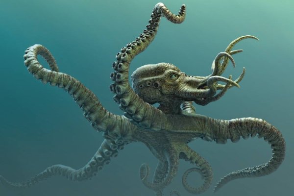 Ссылка на kraken